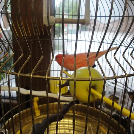 Bed and Breakfast τα πιθάρια *