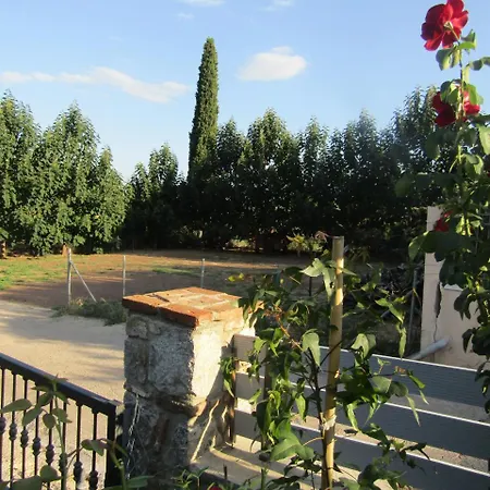 τα πιθάρια *