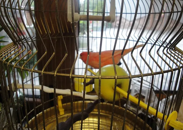 Bed and Breakfast τα πιθάρια *