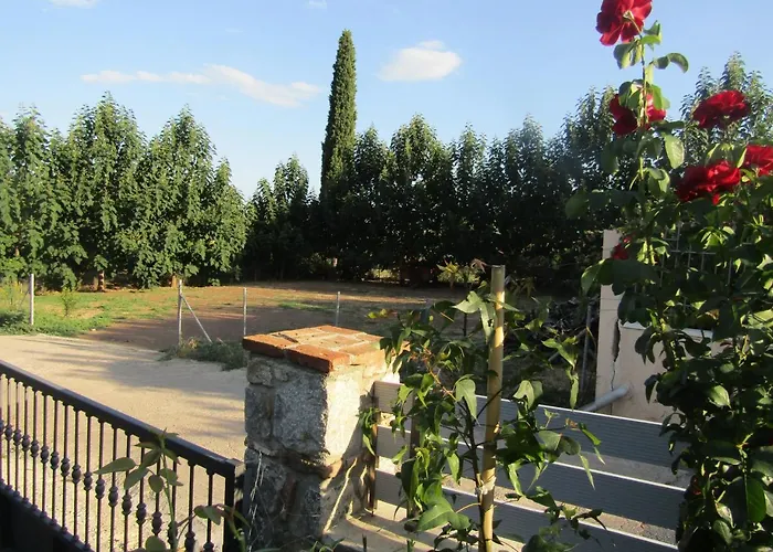 τα πιθάρια *